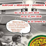 cours de surf enfants seignosse